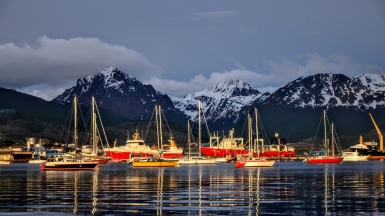 Фото: Diogo Hungria, unsplash