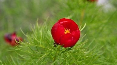 Фото нашей Странницы Виктории Васильченко