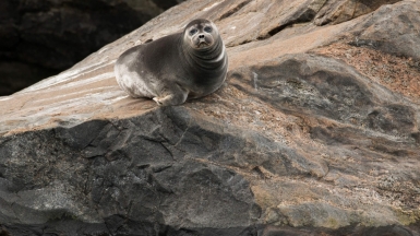 Фото нашего гида Андрея Таничева