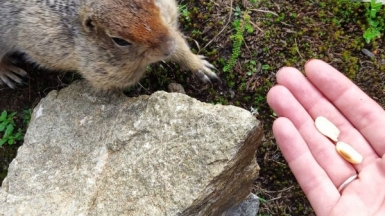 Фото нашего гида Евгении Скопиной