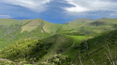 Фото нашего гида Марии Тергоевой