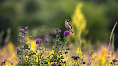 Фото нашего гида Михаила Верёвченко