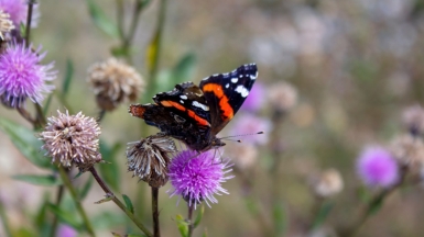 Photo by Anton Maksimov juvnsky on Unplash