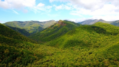 Фото наших партнёров