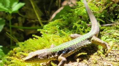 Фото нашего гида Анны Шереметьевой