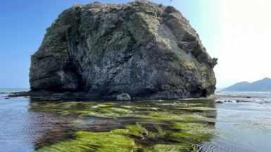 Фото из архива Клуба