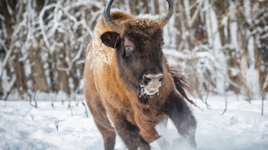 Фото нашего гида Михаила Верёвченко