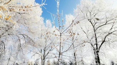 Фото: kir shu on unsplash