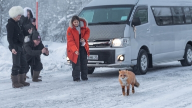 Фото: Михаил Местников