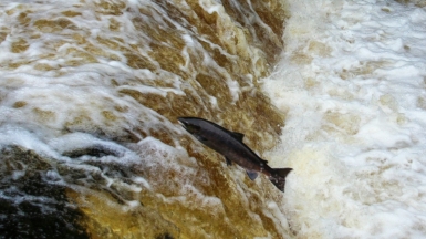 Фото: denley photography on unsplash