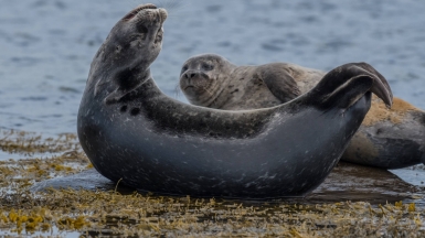 Автор: pascal mauerhofer, источник: unsplash