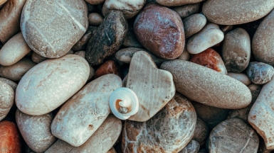 Фото: Yana Druzhinina, unsplash.com