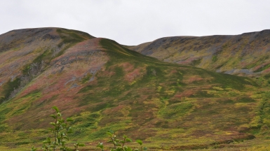 Фото: VirtKitty, visualhunt.com