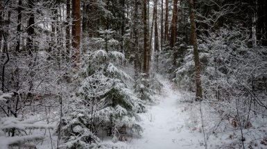 Фото нашего гида Михаила Верёвченко
