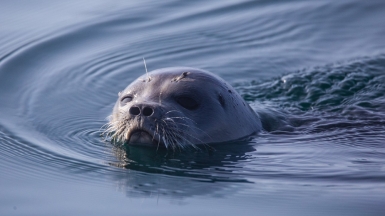 Фото из архива Клуба