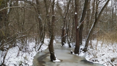 Фото наших Странников