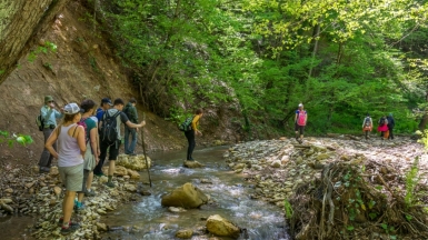 Ущелье Руфабго, фото нашего Странника Дмитрия Кочерыгина