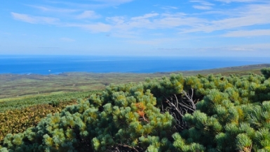 Фото нашей Странницы Анны Лазаренко