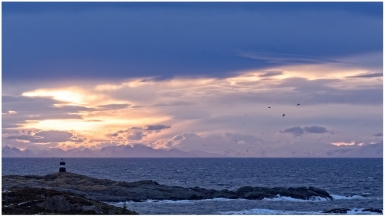 Фото: фото Willie Jarl Nilsen