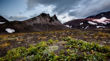 Фото: kuhnmi, visualhunt.com