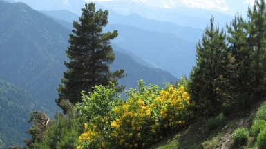 Фото нашего гида Ирины Пряничниковой.
