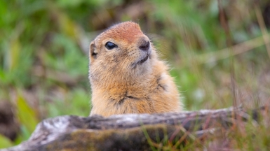 Фото из архива Клуба