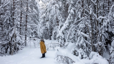 Фото нашего гида Михаила Верёвченко