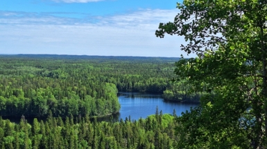 Фото нашей Странницы Ольги Чернышёвой
