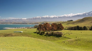 Фото: Andrea Schaffer on visualhunt