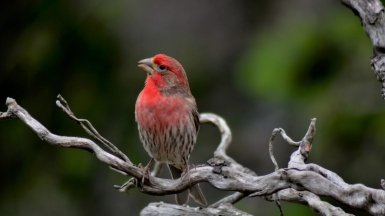 Автор фото: Bryan Hanson, источник: unsplash.com