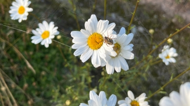 Фото нашей Странницы Ирины Куракиной