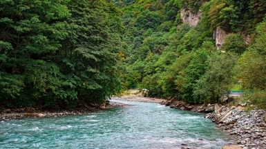 Фото: aisvri, unsplash.com