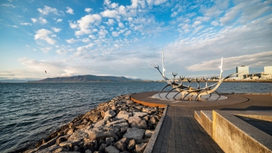 Автор: michael held, источник: unsplash