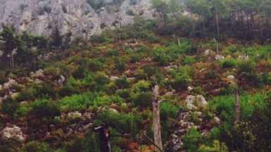 Фото Татьяны Швыряевой