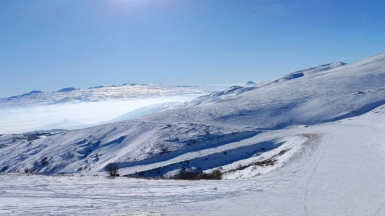 Фото нашего гида Ирины Пряничниковой