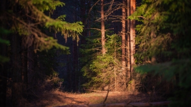 Фото нашего гида Михаила Верёвченко