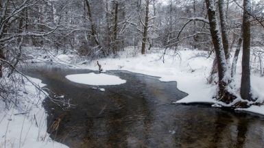 Фото нашего гида Михаила Верёвченко