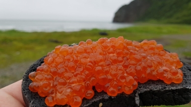 Фото из архива Клуба