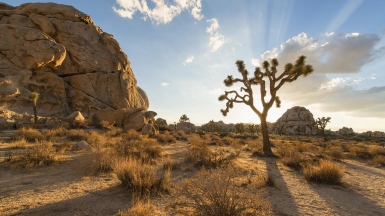 Фото: Christopher.Michel on Visual hunt