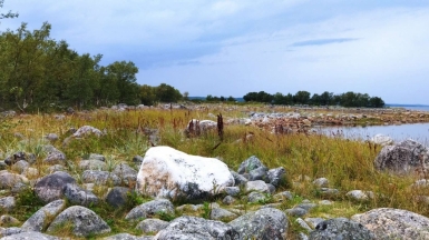 Фото нашего гида Галины Шелудько