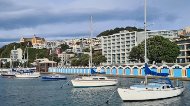 Фото: JustGoThere.NZ