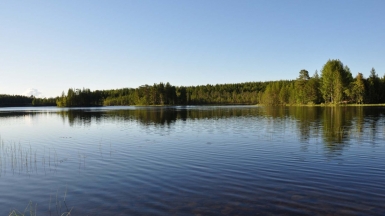 Фото нашего гида Алексея Петровского