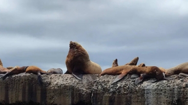 Фото из архива Клуба