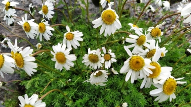 Фото наших Странников