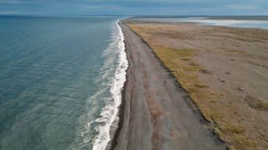 Фото: Alexandr Bormotin, unsplash.com