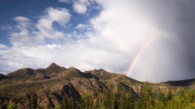 Фото: Mark Basarab, unsplash.com