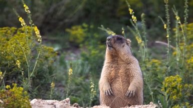 Фото нашего гида Михаила Верёвченко