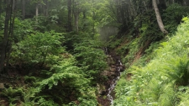 Фото из архива Странника