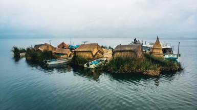 Фото: Sandro Ayalo, unsplash.com