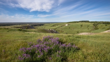 Фото нашего гида Михаила Верёвченко